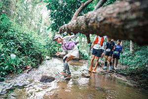 BIB: 
                            <button type="button" onclick="openModal(25373120)" class="btn btn-primary btn-sm float-right btn-popup" data-toggle="modal" data-target=".modal-high-quality">
                        <i class="fas fa-shopping-cart"></i> Add to Cart
                    </button>
                                            <button type="button" onclick="isThisMe(25373120, true)" class="btn btn-success btn-sm float-right btn-popup btn-isme hidden" data-toggle="tooltip" data-placement="bottom" title="นี่คือรูปของคุณใช่ไหม คลิกที่นี่เพื่อเอาเข้าอัลบั้ม">
                        <i class="fas fa-plus"></i> Add to album
                    </button>
                    <button type="button" onclick="isThisMe(25373120, false)" class="btn btn-warning btn-sm float-right btn-popup btn-isnotme hidden">
                        <i class="fas fa-ban"></i> Remove from album
                    </button>